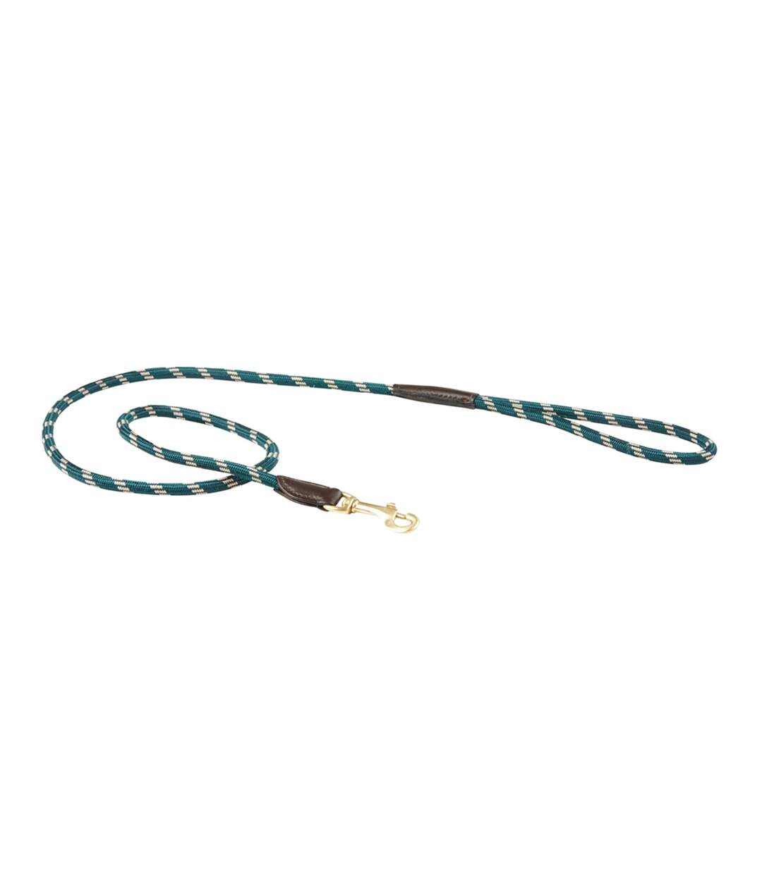 Weatherbeeta - Laisse - Chien (Vert/ marron) (1.2m) - UTWB1344