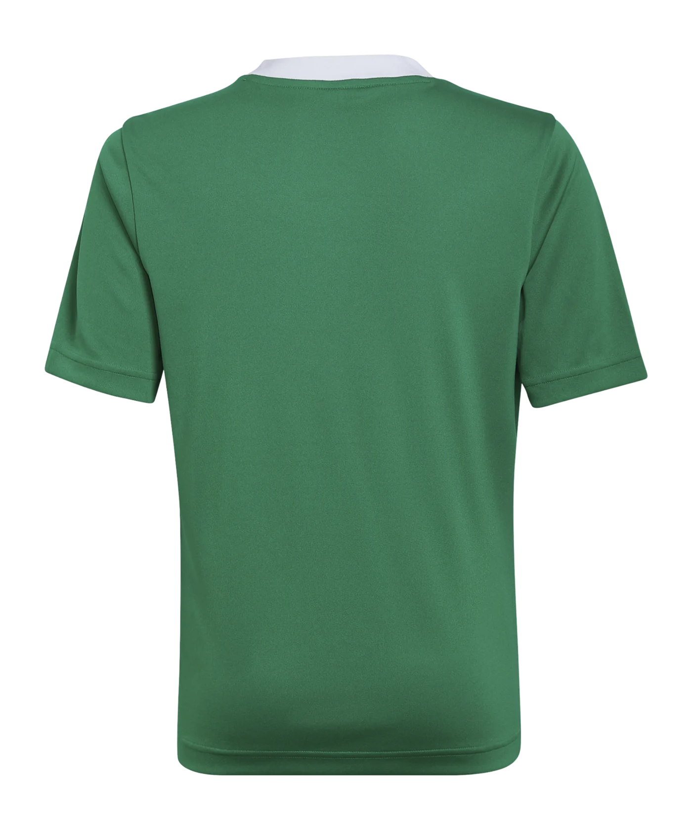 adidas Entrada 22 Trikot Kids Grün