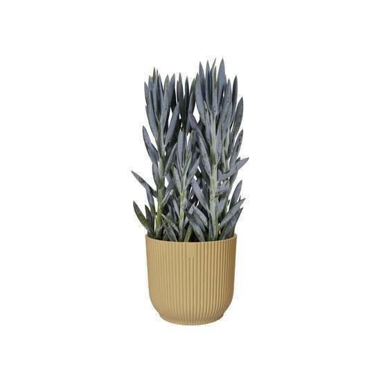 Cache Pot Vibes Fold Rond Ø16cm Jaune