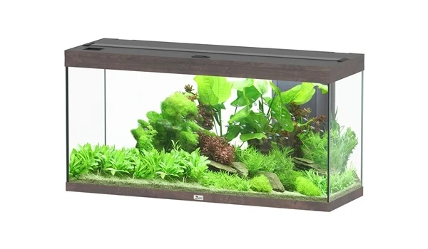 Aquatlantis Splendid 120x40 aquarium | Inclusief LED en filter
