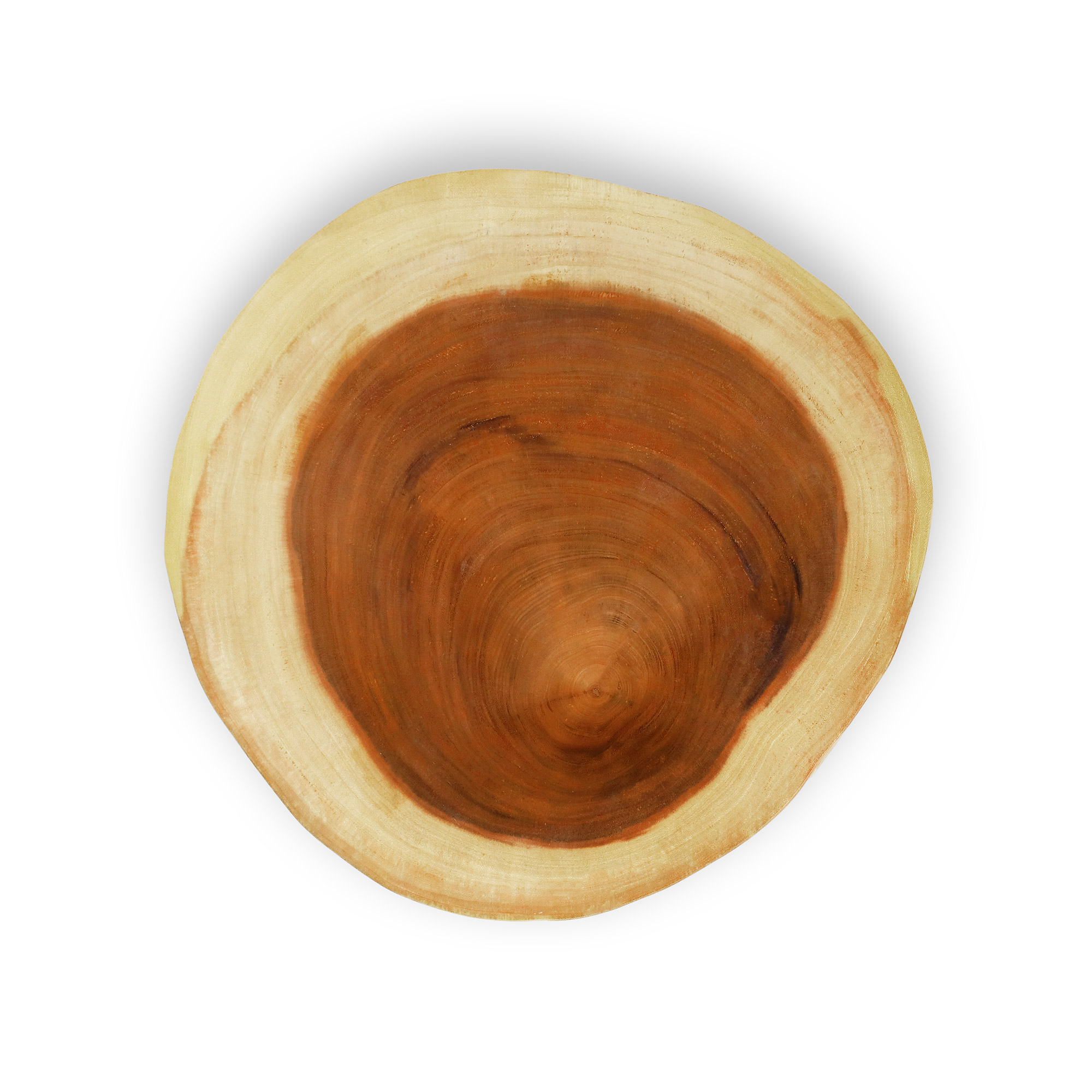 Baumscheiben-Couchtisch, aus Suarholz, Ø 55-60 cm, H 32 cm von fischer's lagerhaus