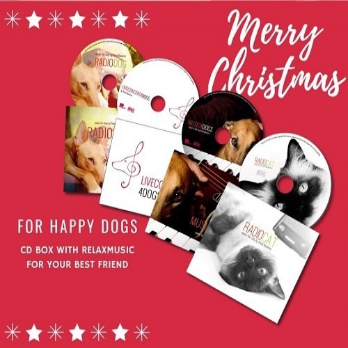 Pacote com 4 CDs de música para cães e gatos, em cores variadas.