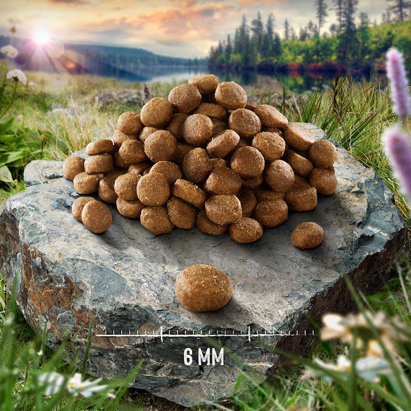 Purizon Single Meat dinde, fleurs de bruyère