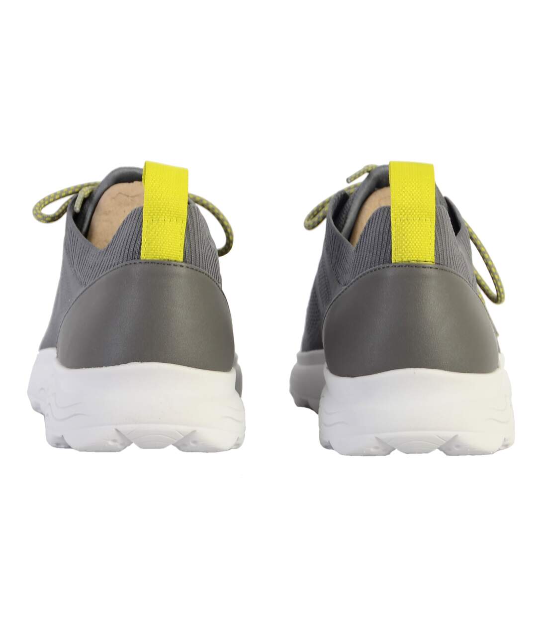 Basket Geox Spherica Homme