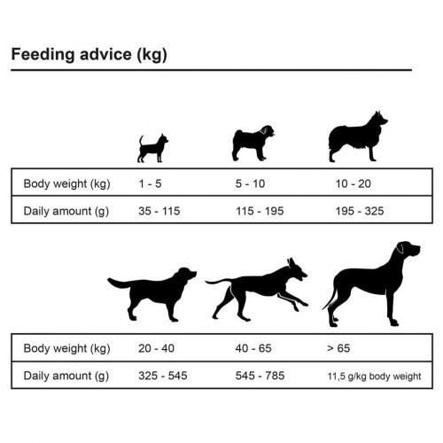 Ração Essence para cães adultos, sabor Cordeiro e Arroz