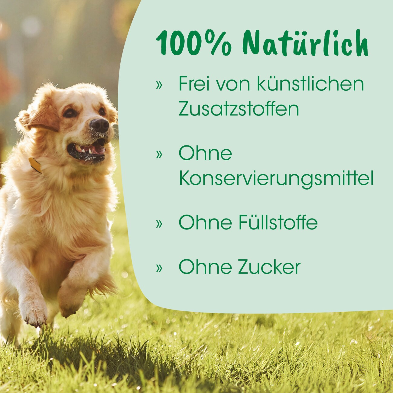 cdVet Welpenmilch 90 g