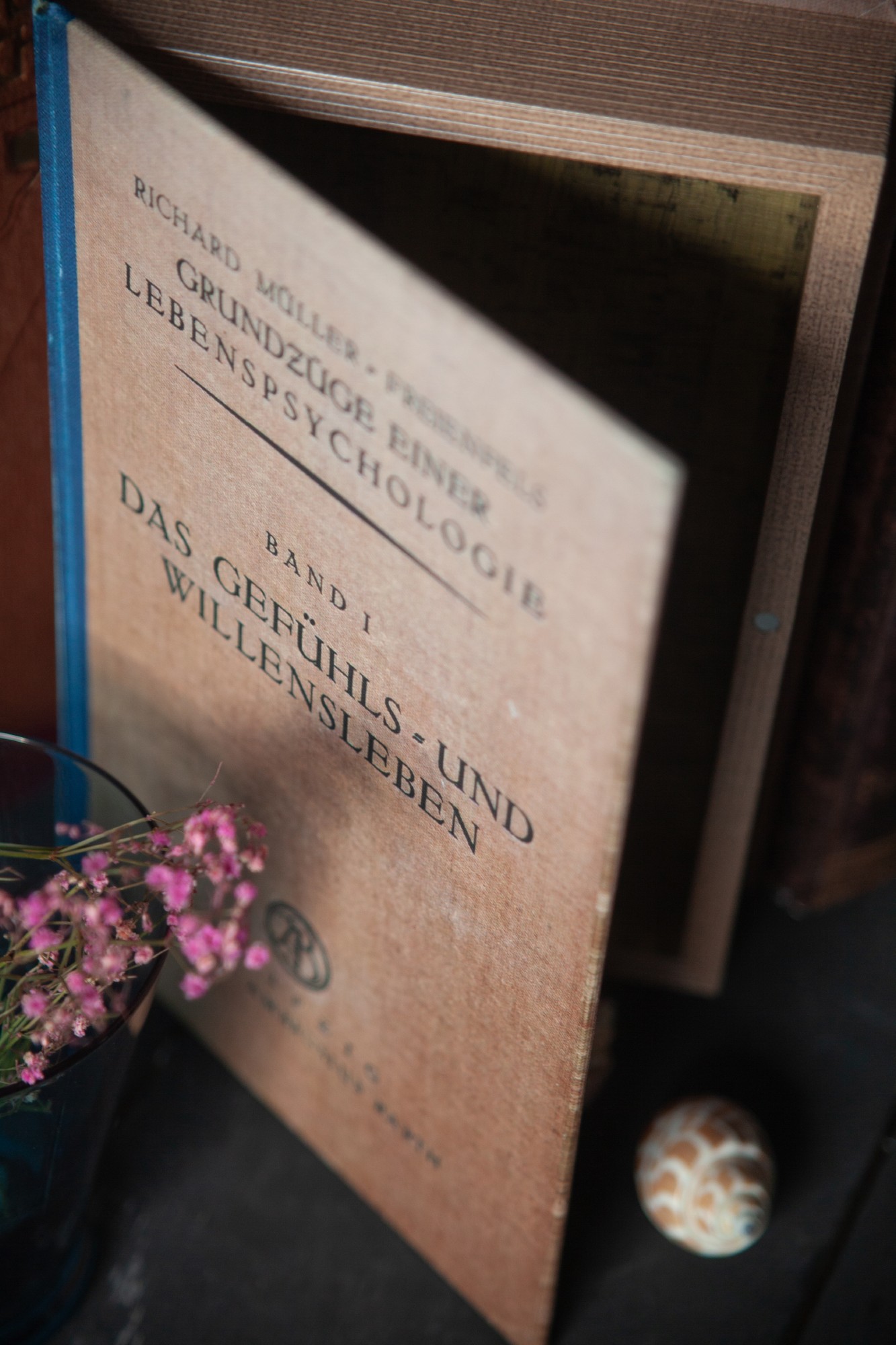 Buchhülle 'Das Gefühls- und Willensleben', B 16 cm, H 24 cm, T 5 cm von fischer's lagerhaus