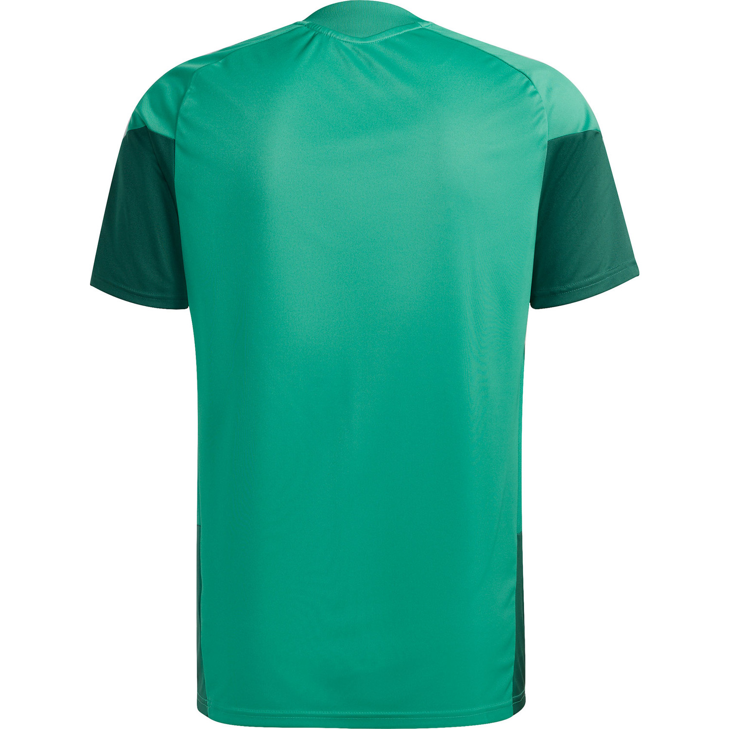 adidas Algerije Trainingsset WK 2026