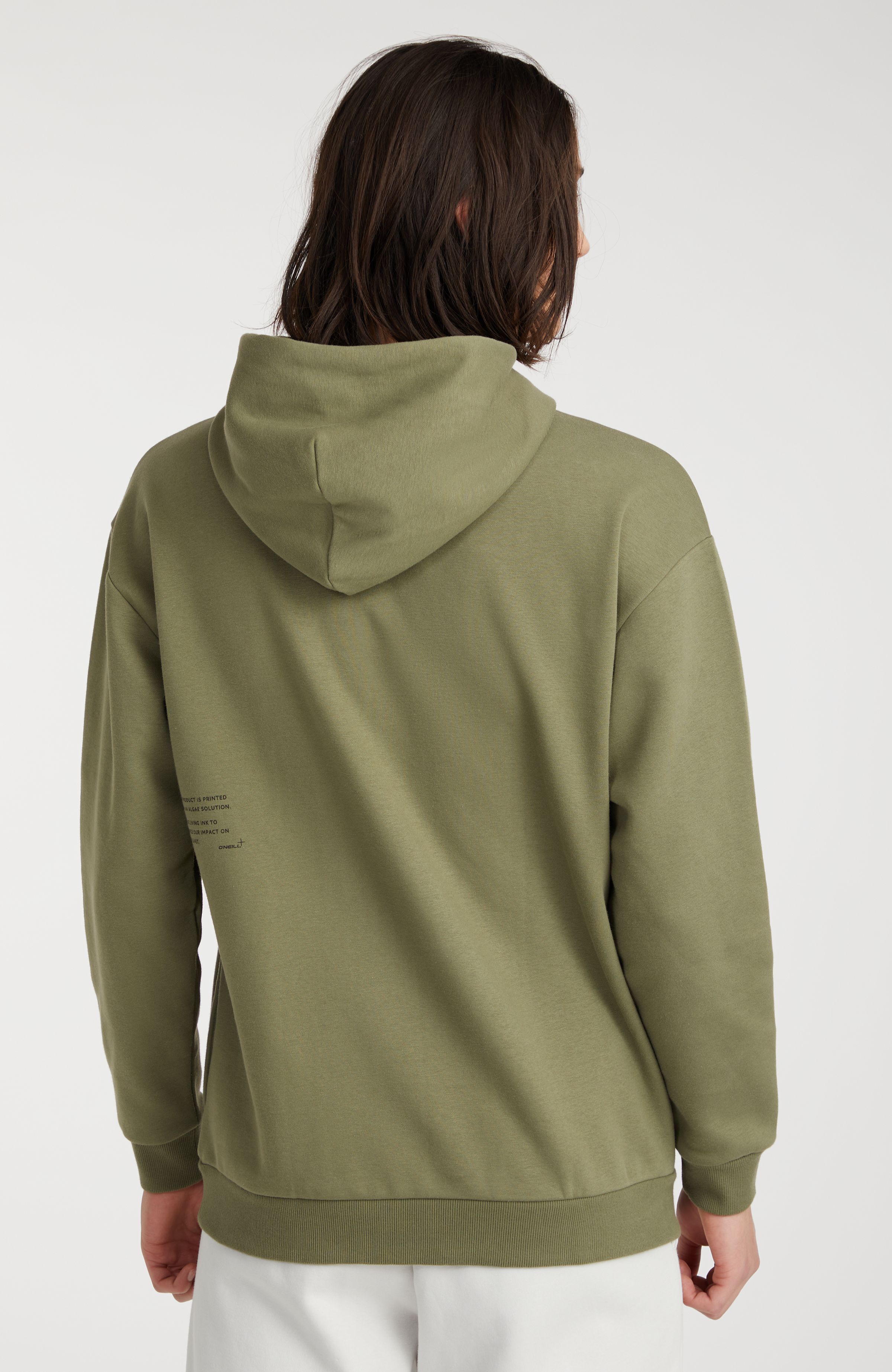 Hoodie Future Surf Society O`Neill Groen