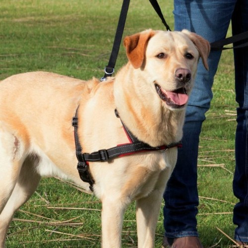 Coleira preta para cães