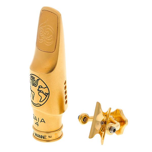 Theo Wanne Gaia IV Alto 8 Metal