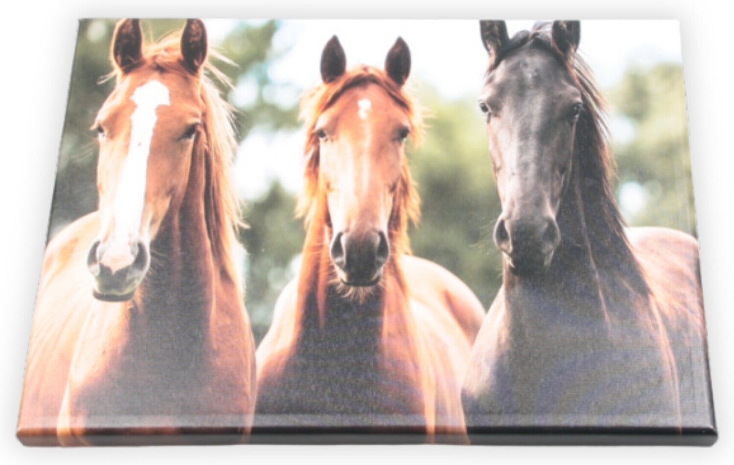 Farmwood Animals tuinschilderij paarden multi 70 x 0,5 x 50 cm