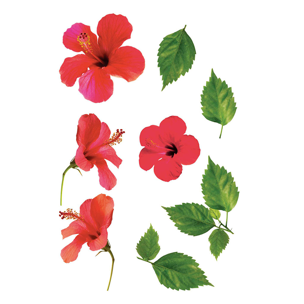 Sticker mural déco fleurs d'hibiscus 70x20cm
