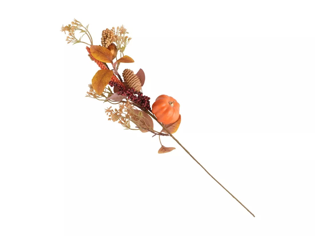 Bouquet Spiceso Orange Moyen 60 x 17 x 9.5