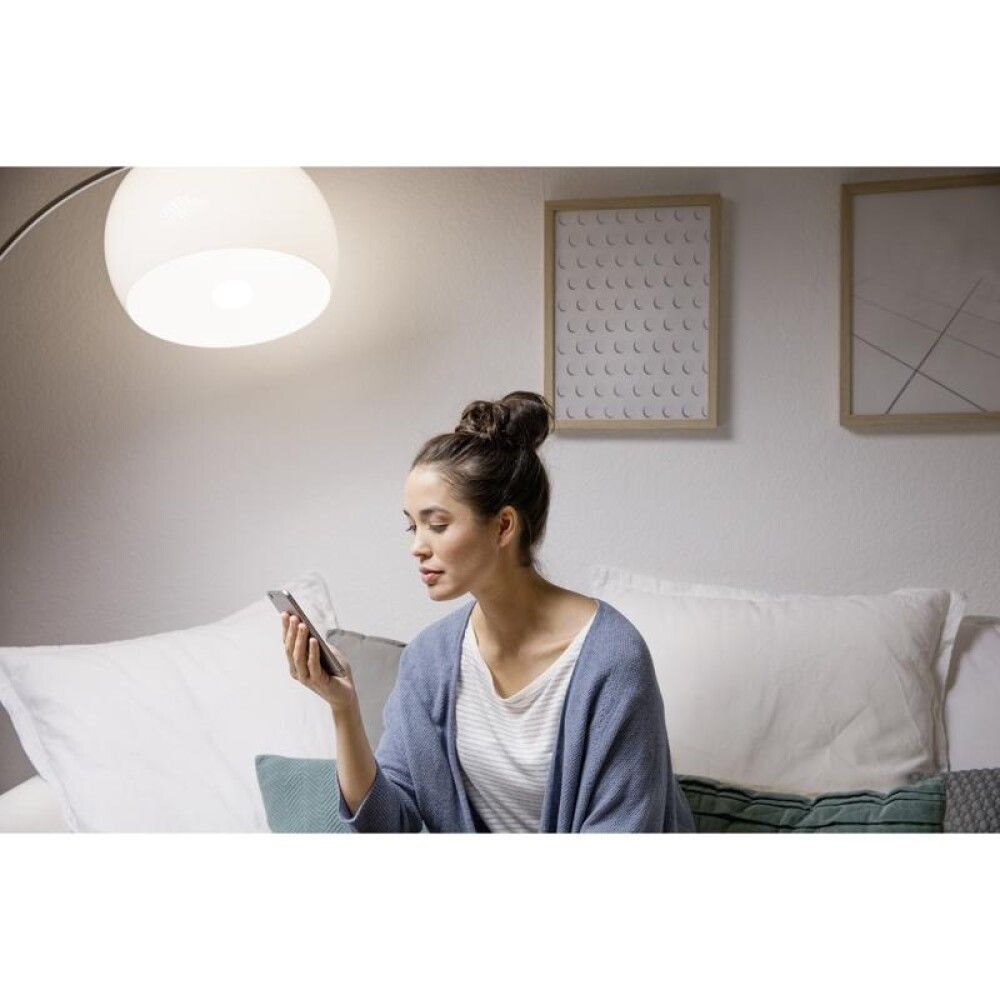 LYSPÆRE LEDVANCE SMART+ WIFI EDISON SMOKE E27 6W