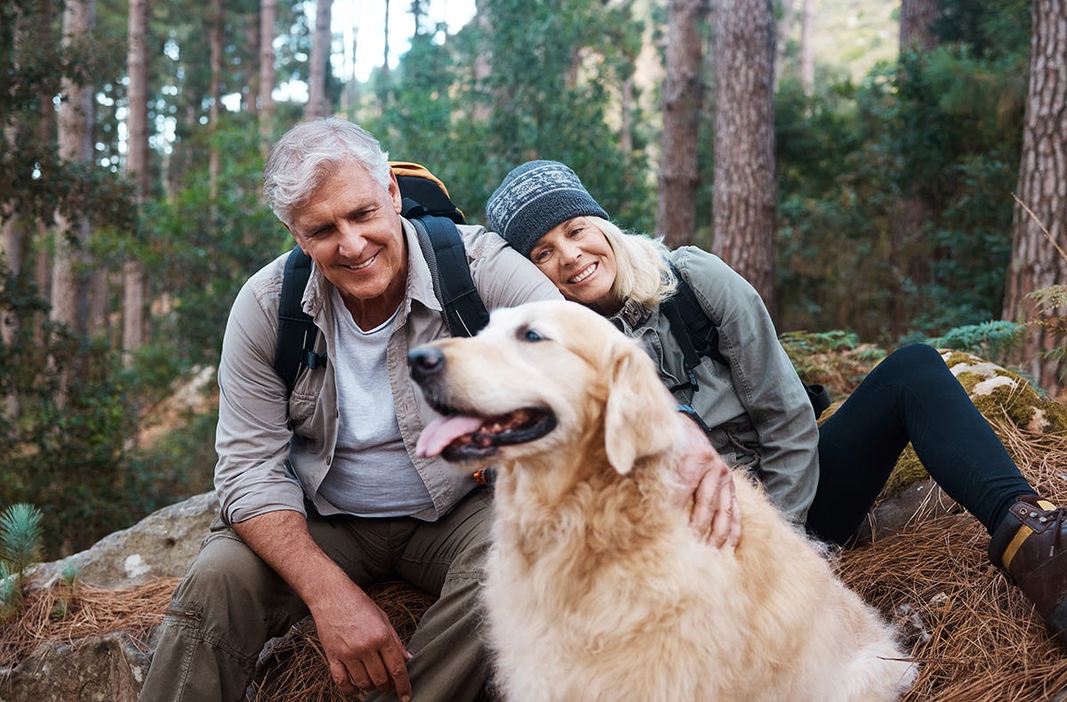 Urlaub mit Hund im Harz für 2