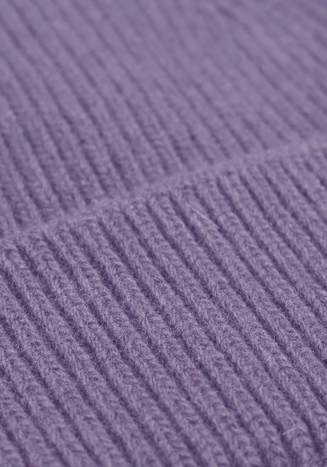 Colorful Standard Beanie Purple Haze