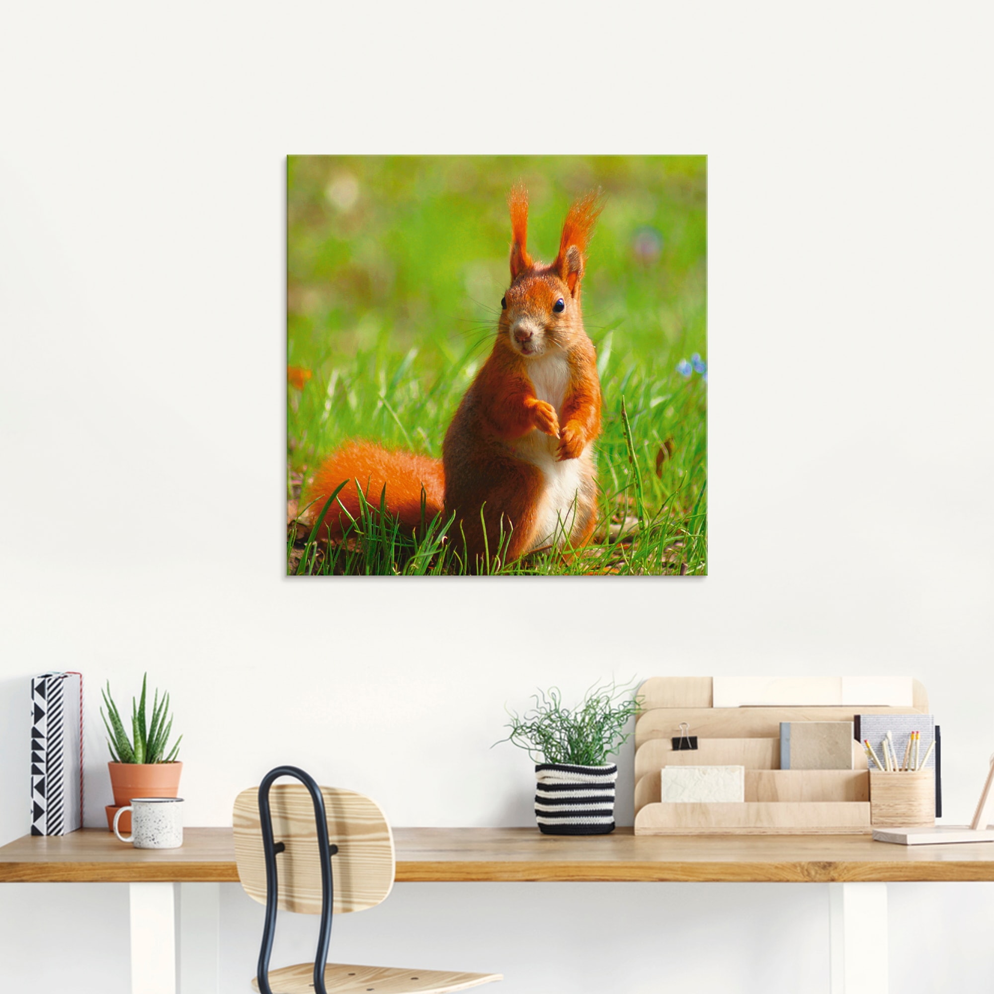 Artland Glasbild »Eichhörnchen Kontakt« Wildtiere 1 Stk. tlg. in verschiedenen Grössen