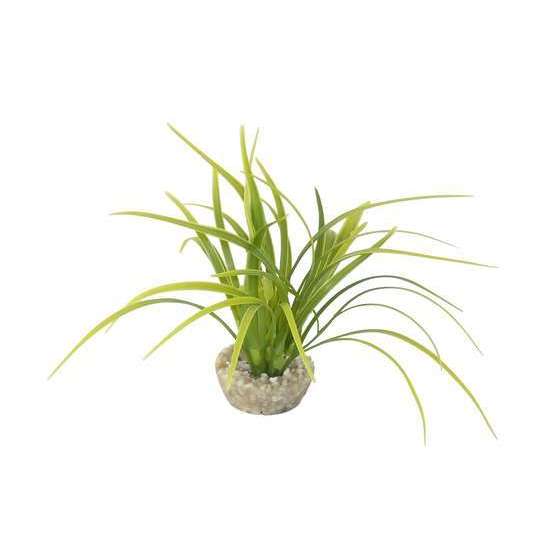Plante artificielle aquarium echinotorus 16 cm