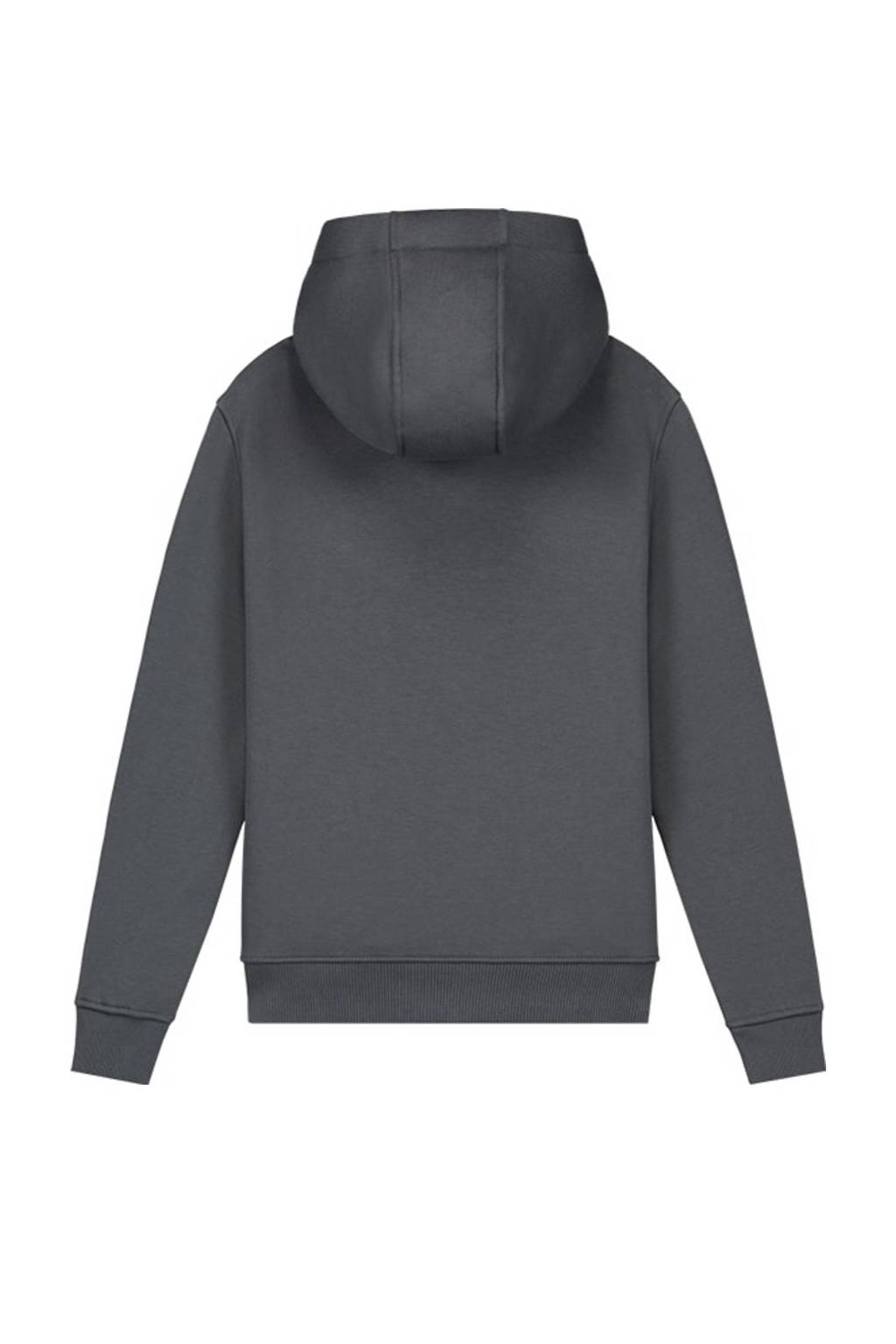 Malelions hoodie Striped Signature met printopdruk donkergrijs/grijsblauw