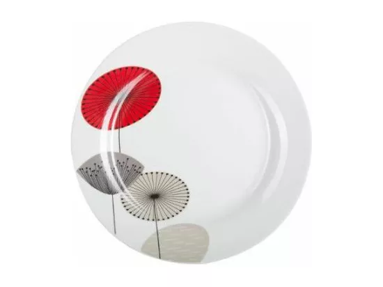 Lot de 6 Assiettes Plates 