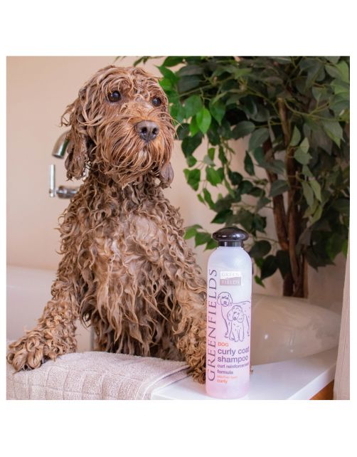 Greenfields Dog Curly Coat Shampoo - Hondenvachtverzorging - 250 mm Roze
