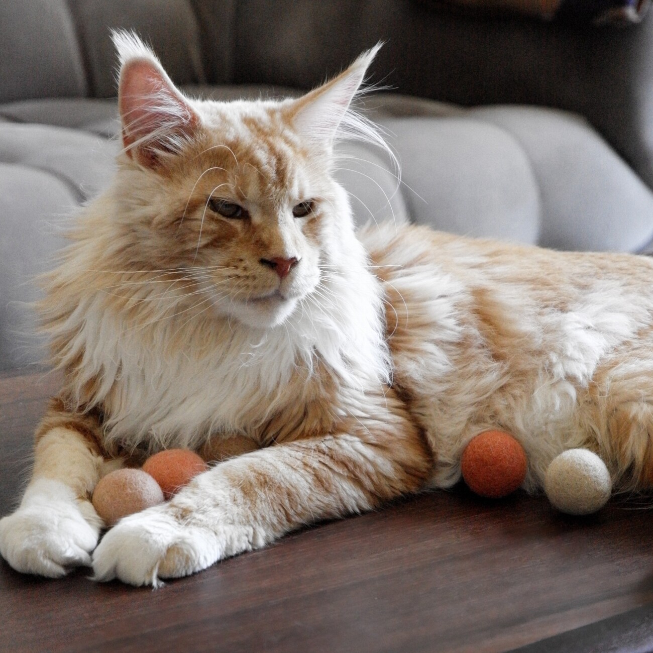 LucyBalu PEACH FUZZ Katzen Filzbälle