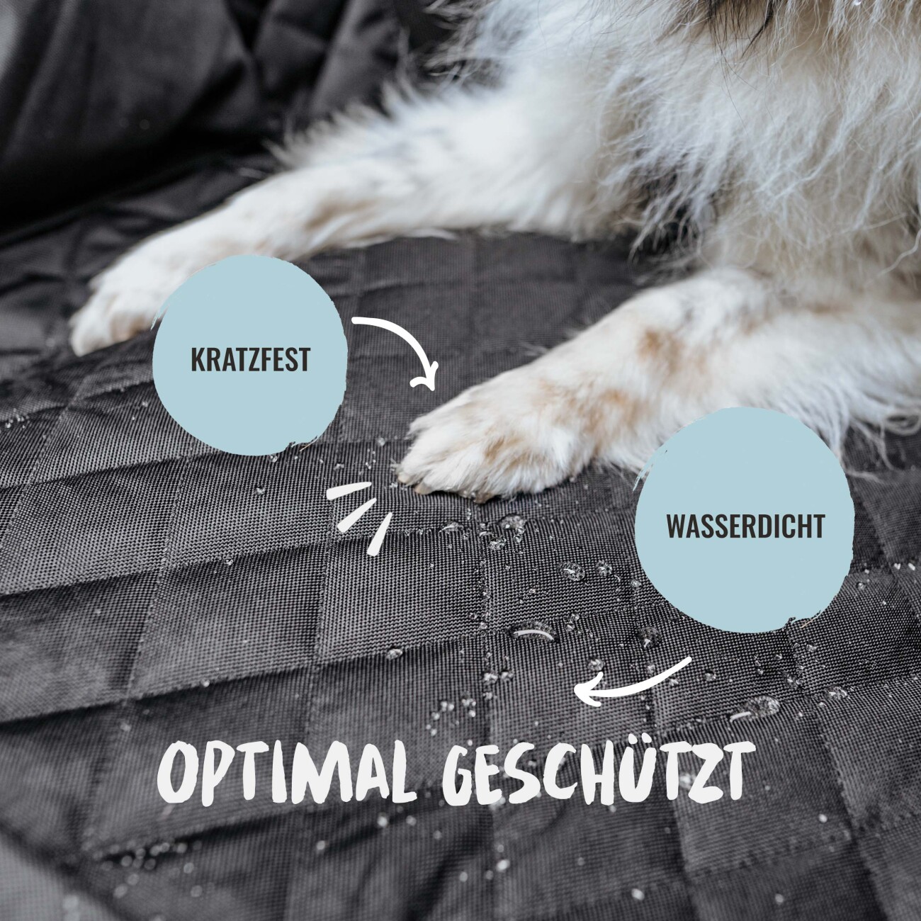 Rudelkönig Autoschondecke Rückbank für Hunde