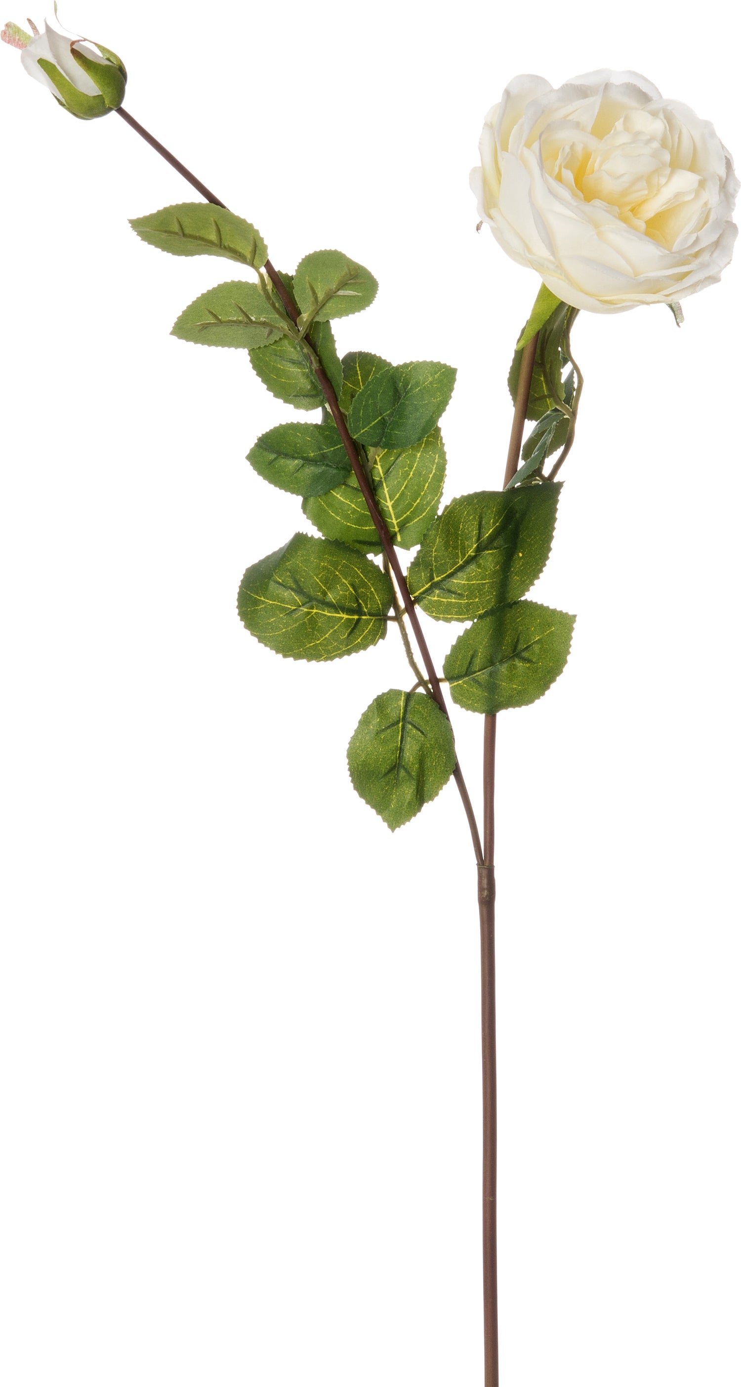 Intratuin kunstbloem roos wit 73 cm