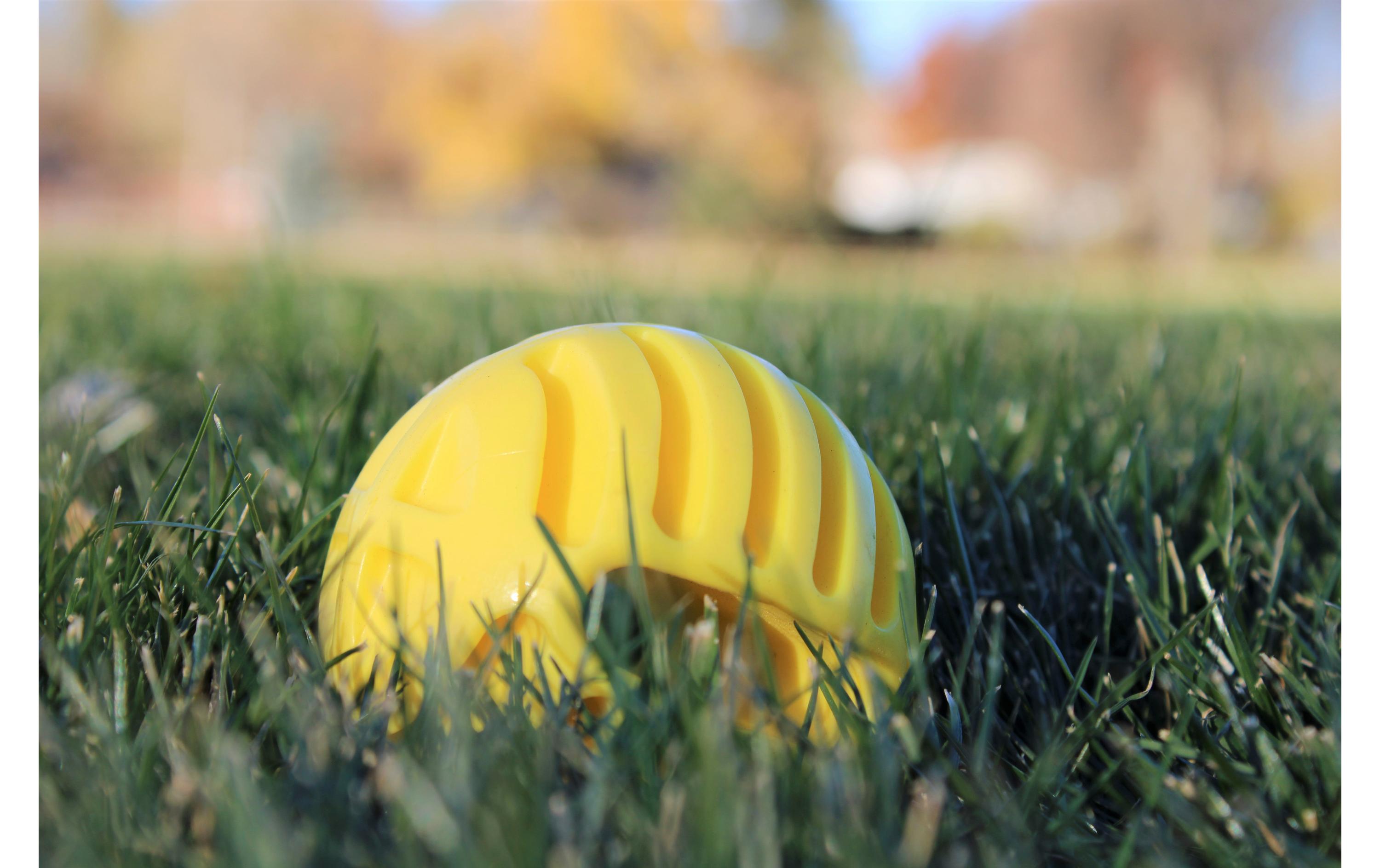 Hunde-Spielzeug Flingerz Ball mit Launcher, Orange/GelbWurf-Hundespielzeug
