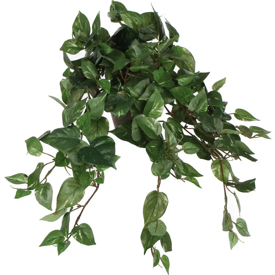 Mica Decorations Kunstplant - scindapsus drakenklimop - groen - 45 cm