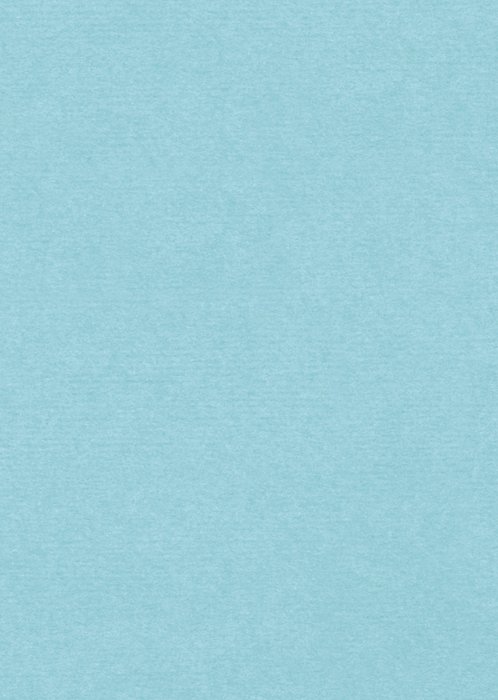 Paperclip | Verjaardag | Haai | Aanpasbare naam
