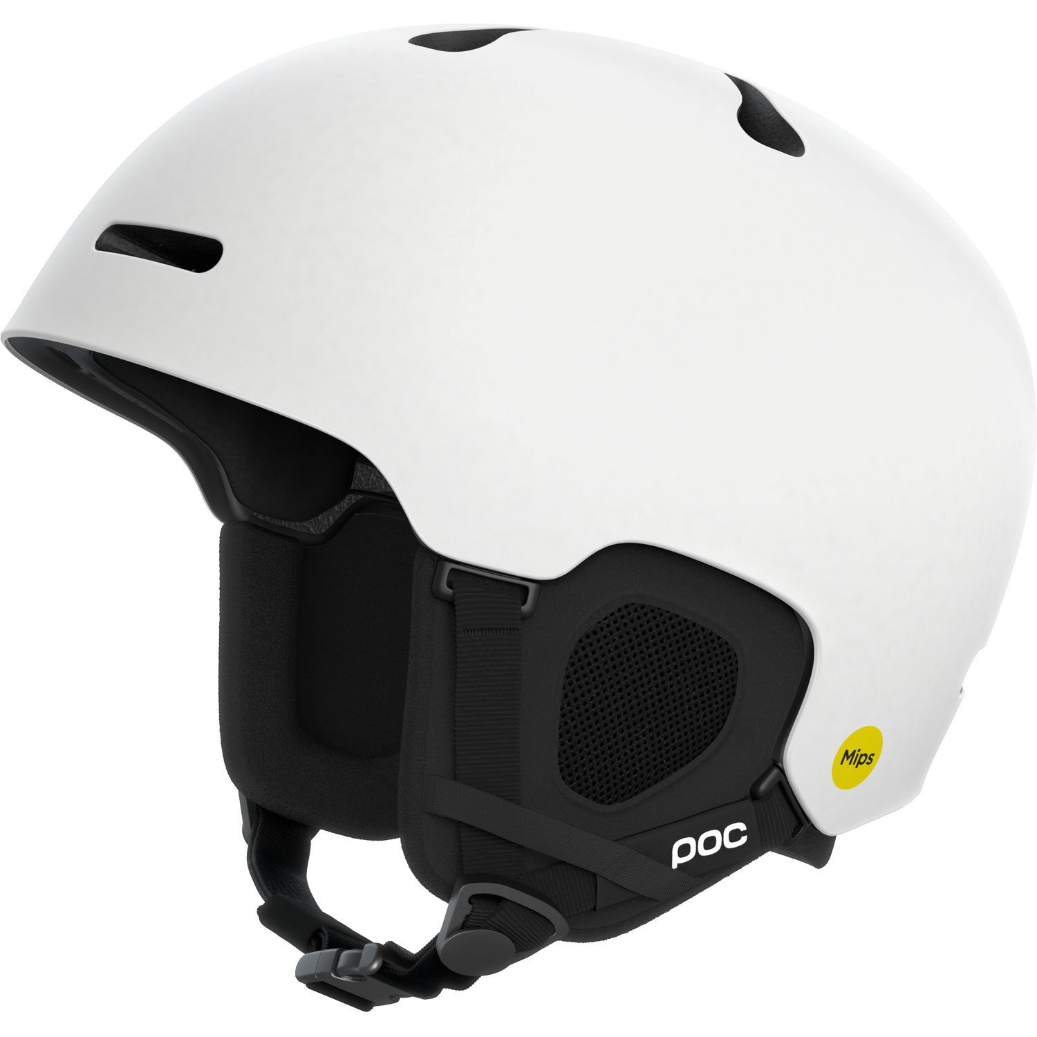 POCFornix MIPS