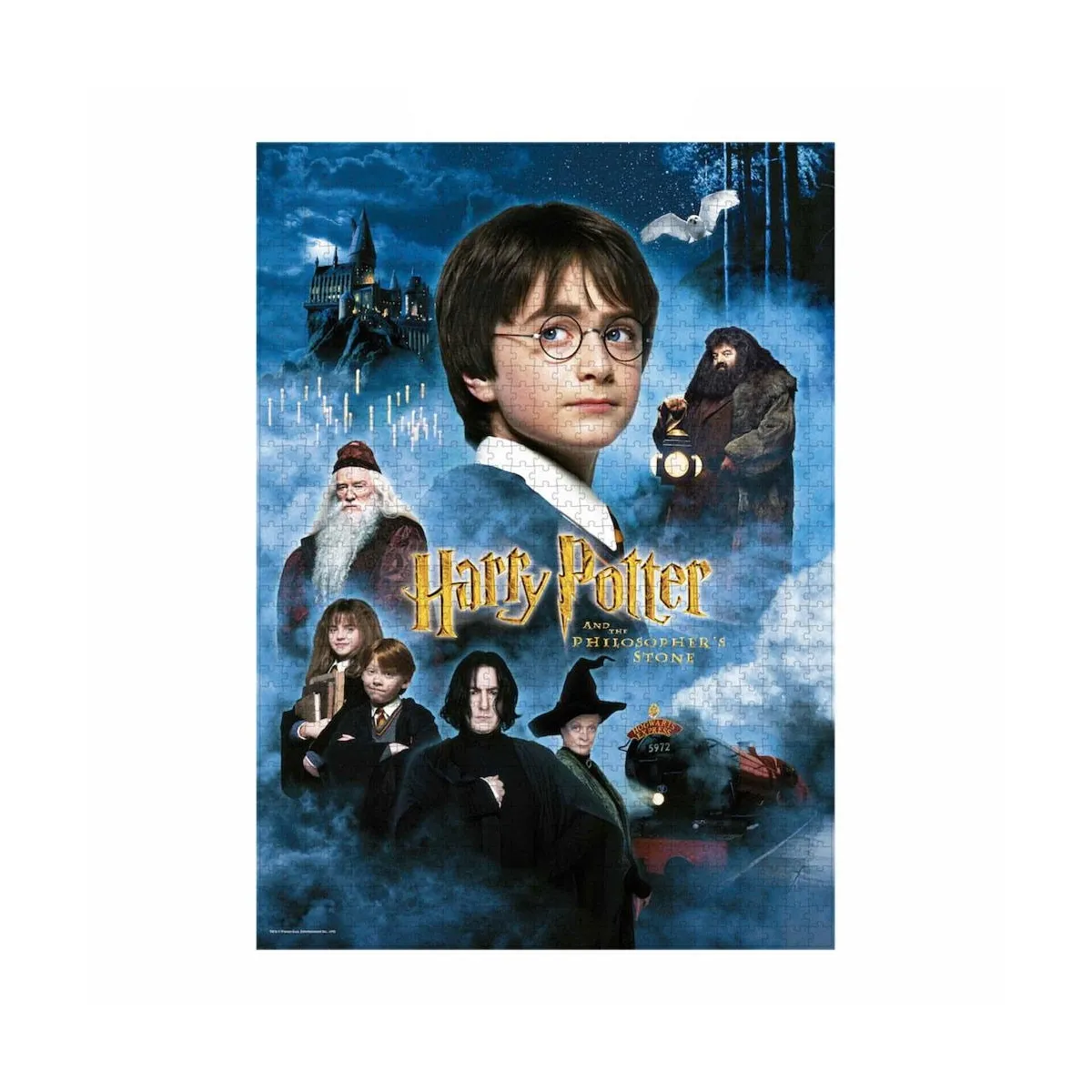 SD Toys Harry Potter Sorcerer's Stone