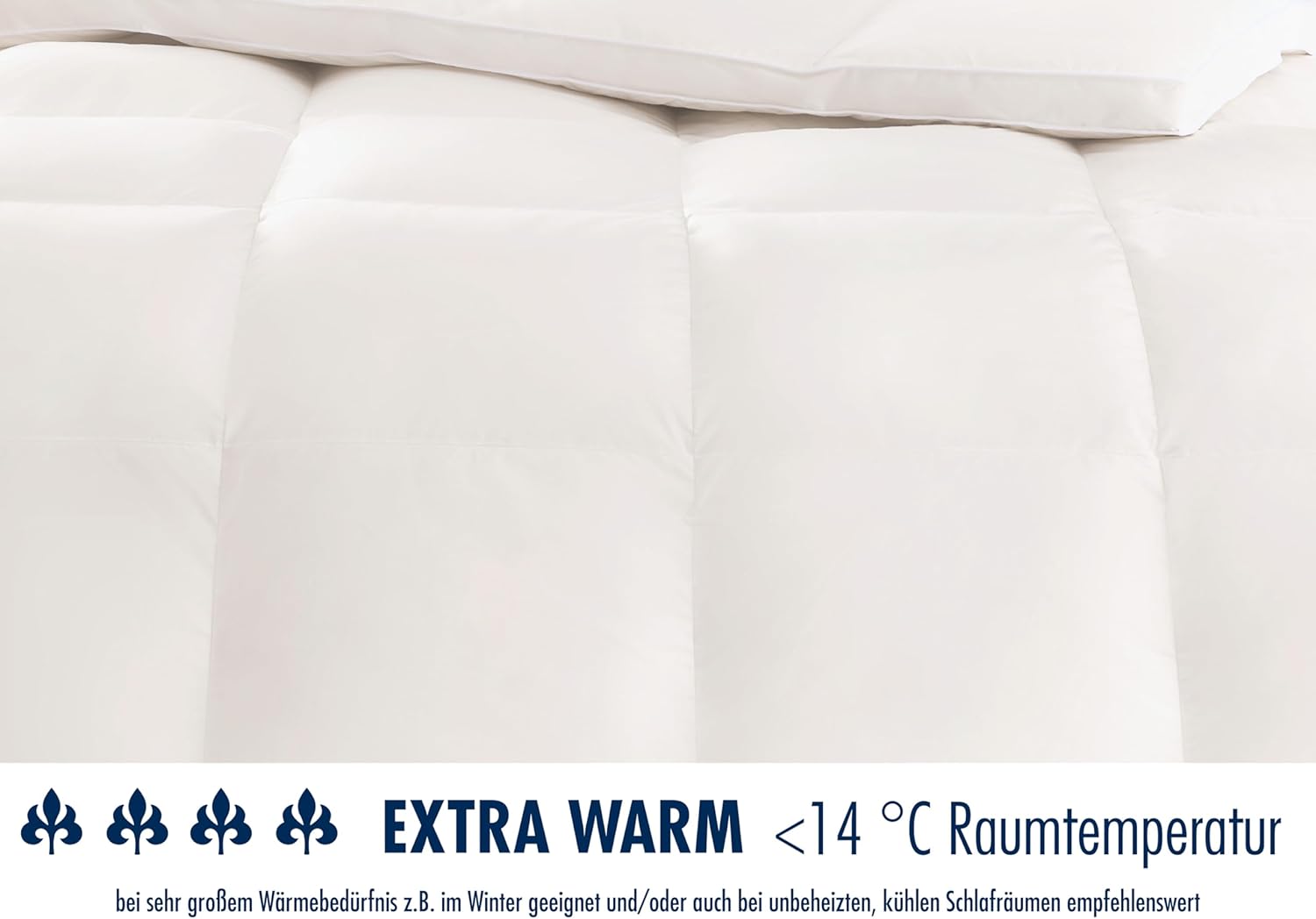 Irisette Daunendecke Nora extra warme Winterdecke mit Bezug aus 100% Baumwolle. Füllung aus 100% Daunen der Klasse I, 155 x 220 cm, Öko-Tex Zertifiziert, produziert nach deutschem Qualitätsstandard