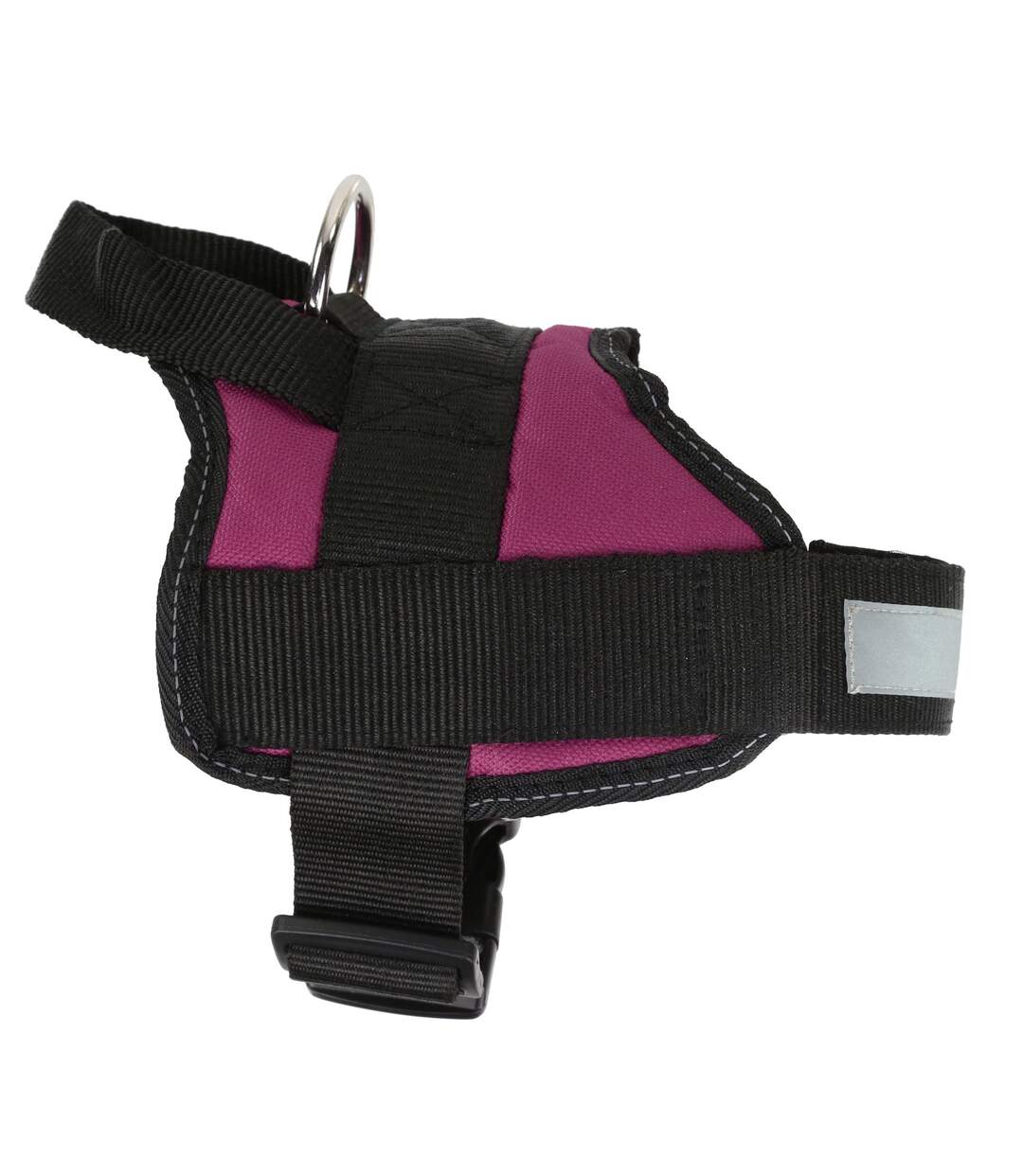 Regatta - Harnais réfléchissant pour chien (Violet) (S) - UTRG4489