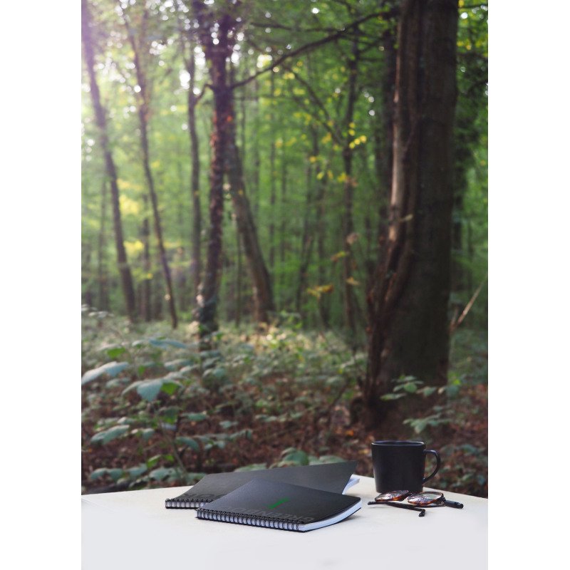 Cahier spirale Rhodia GreenBook A5+ 16 x 21 cm - ligné - 160 pages