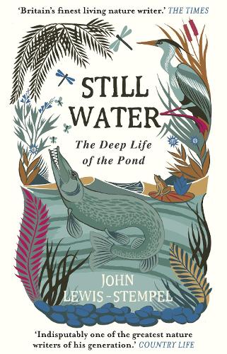 Still Water: The Deep Life of the Pond (Paperback)