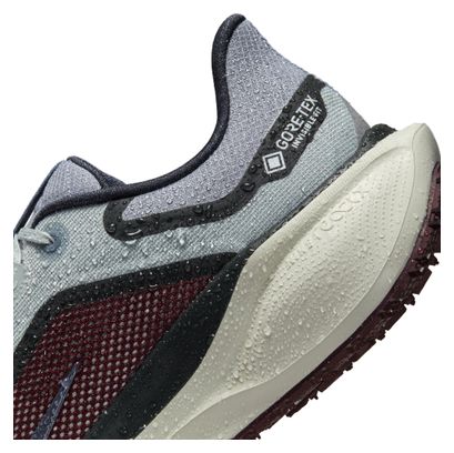 Chaussures Running Nike Pegasus 41 GTX Gris/Bleu Homme