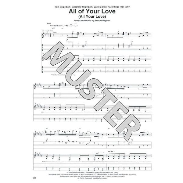 Hal Leonard Tab+ 25 Top Blues Songs