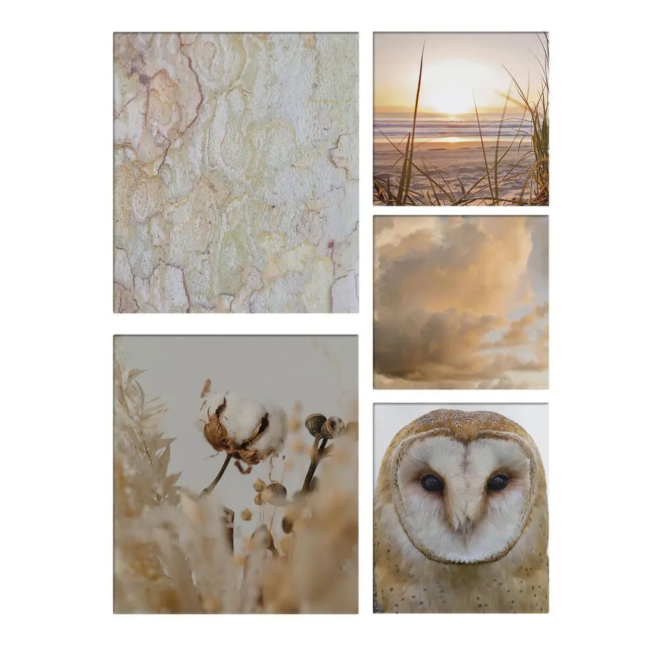 Art for the Home Natuur Canvas Set van 5 80x60 cm