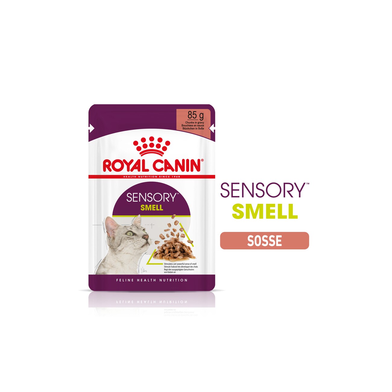 ROYAL CANIN Sensory Smell in Soße für wählerische Katzen 12x85 g