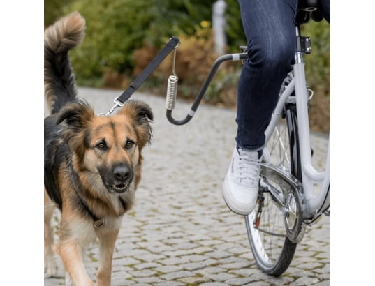 TRIXIE - Harnais de sécurité enfant Ensemble laisse de vélo pour chien forme en u noir