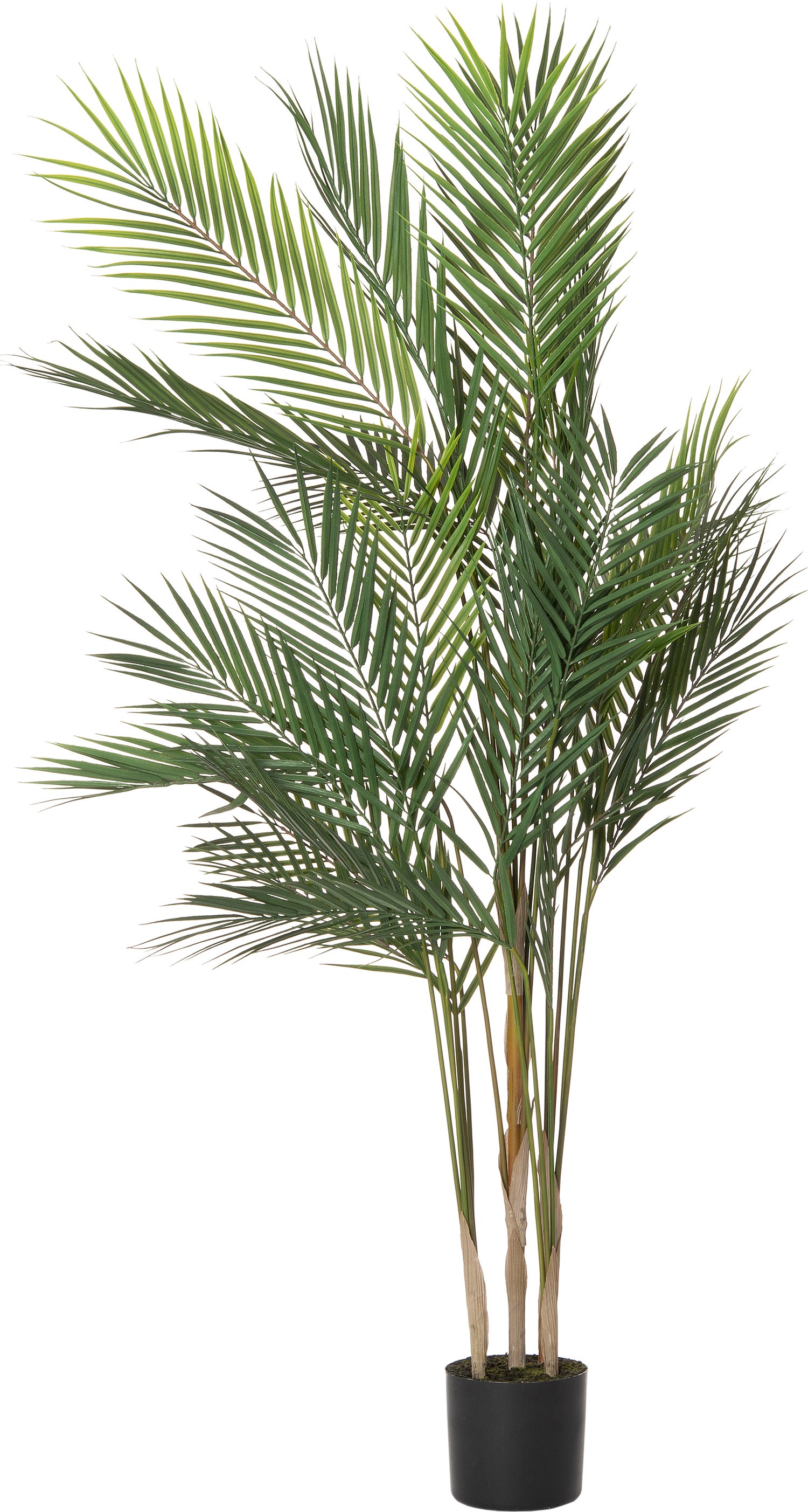 Intratuin kunstplant Palm D 81 H 122 cm