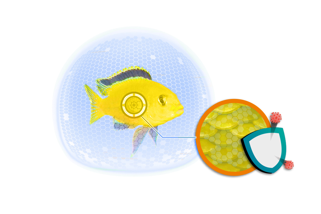 Ciano Fish Protection Dosator S | Doseerapparaat