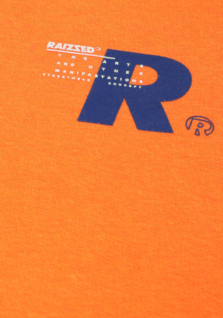 RAIZZED oranje raizzed trui naperville