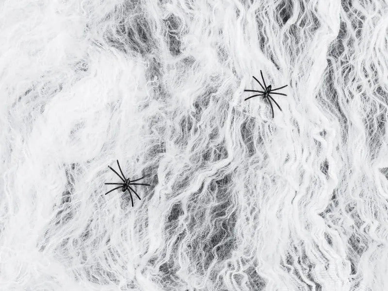 Halloween Spinnenweb Wit Met 2 Zwarte Spinnen 200gr