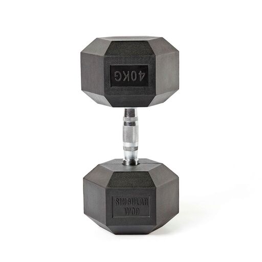 WOD individual com halteres hexagonais de 40 kg