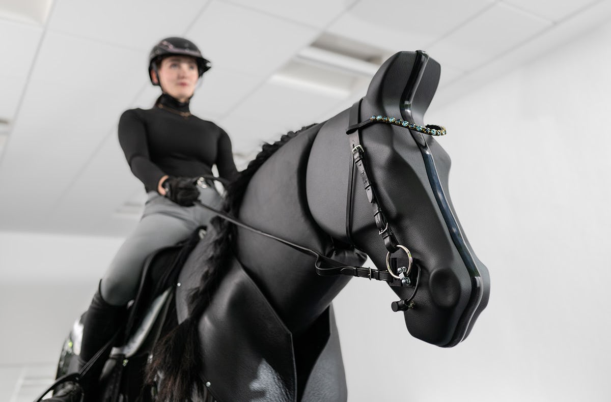 Reitsimulator Göttingen