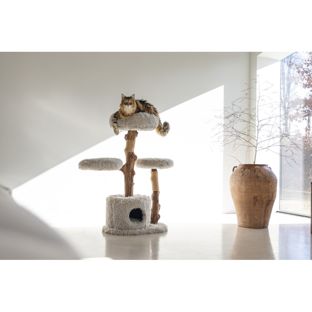 Designed by Lotte Krabmeubel Hout Ziza60 x 45 x 100 cm